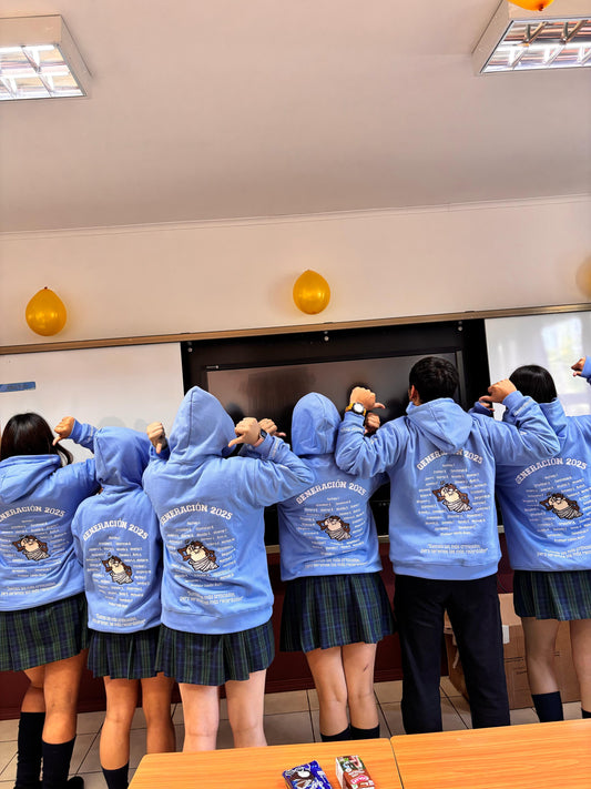 COLEGIO CUMBRES DE COIHUECO - 2025